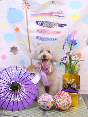 20240530ロンくん